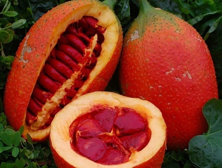 Vietnam Gac fruit