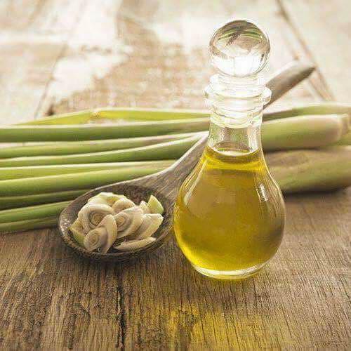 lemongrass essential oil 2