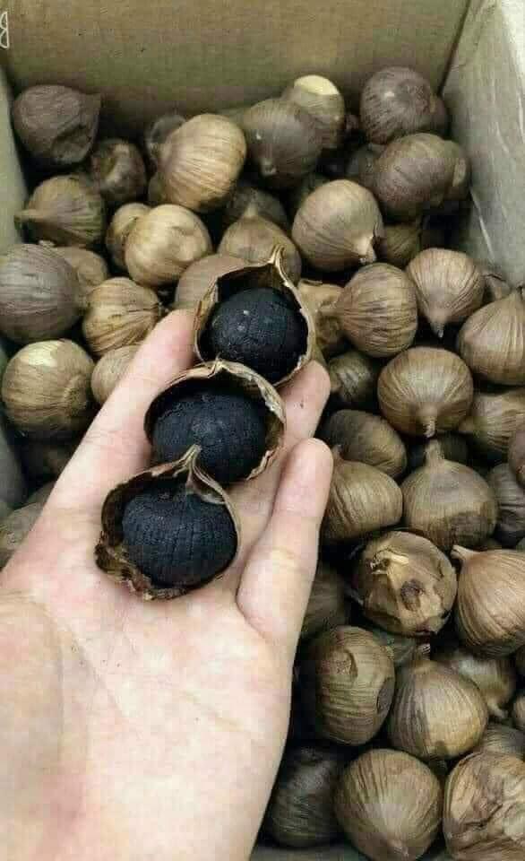 black garlic vietnam